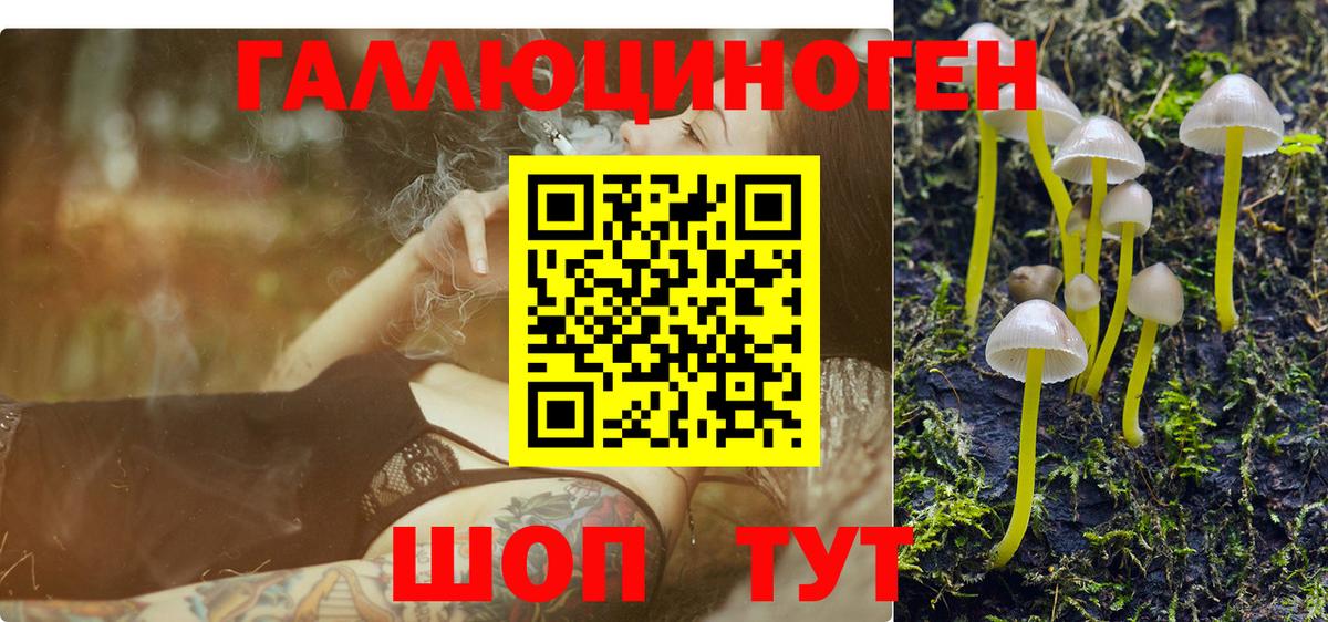 Галлюциногенные грибы ЛСД Великий Новгород